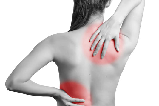 このサイトの使い方